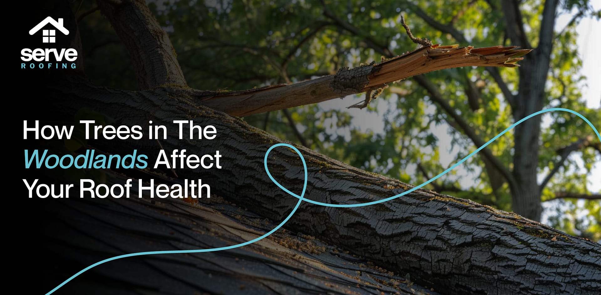 how trees affect your roof
