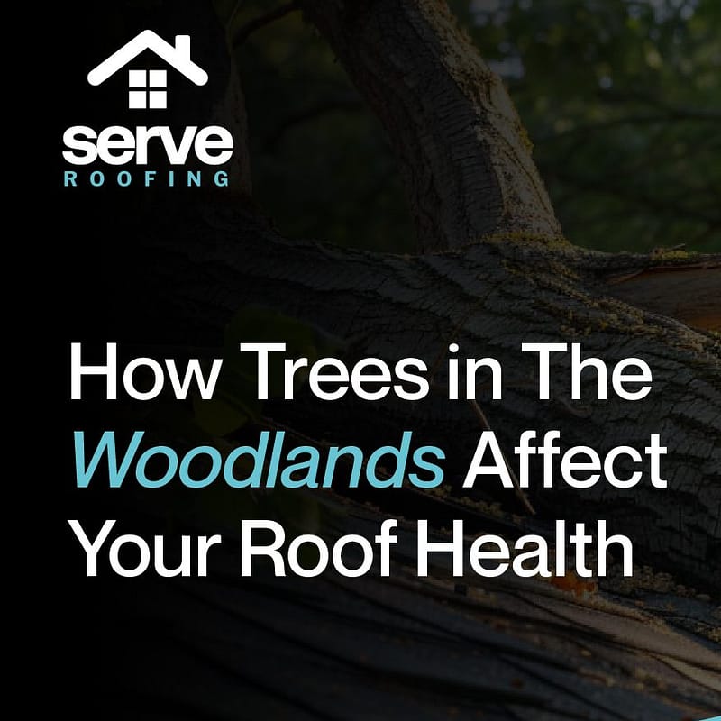 how trees affect your roof