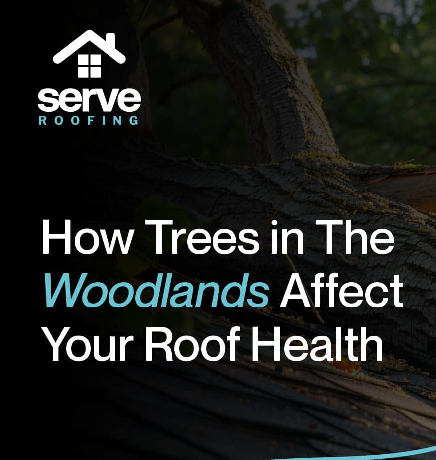 how trees affect your roof